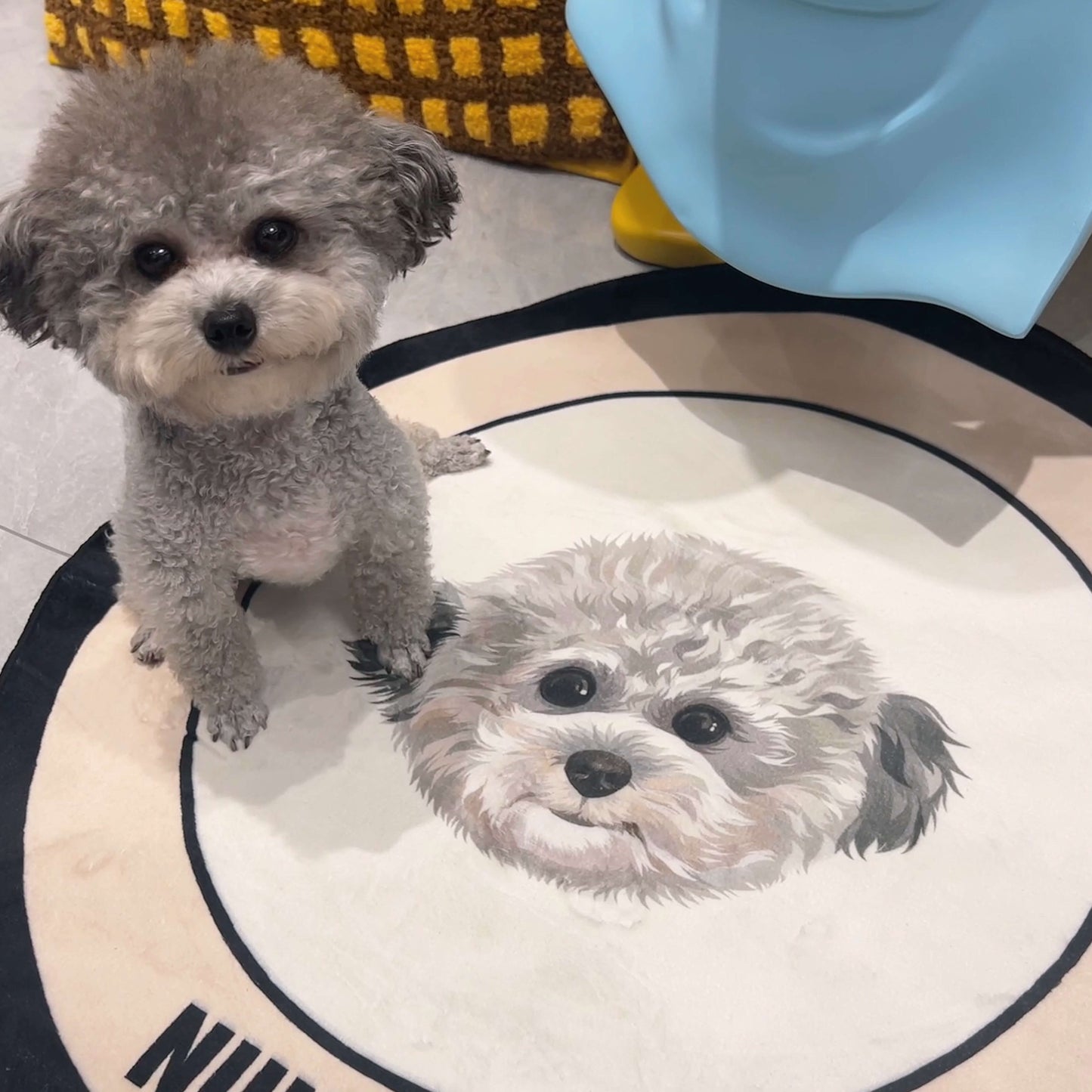 Custom Pet Portrait Carpet